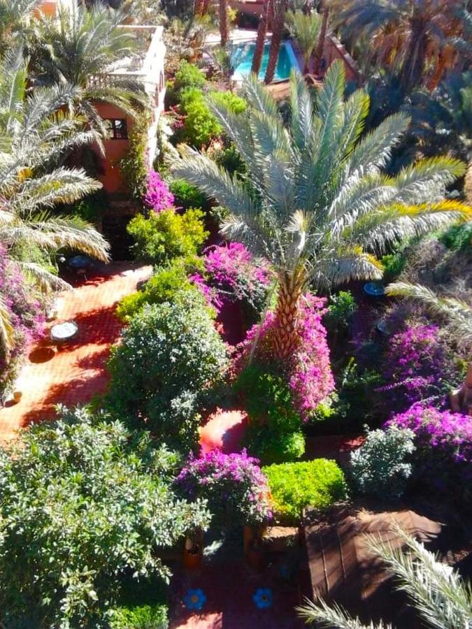 Chez Ali Hotel Zagora Buitenkant foto