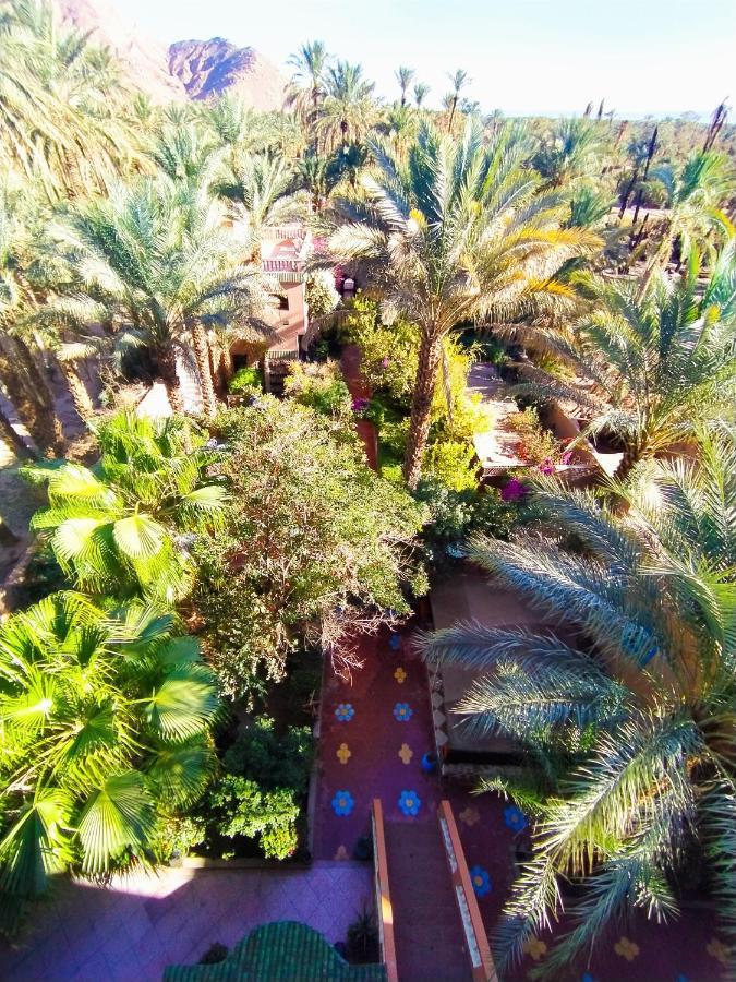 Chez Ali Hotel Zagora Buitenkant foto
