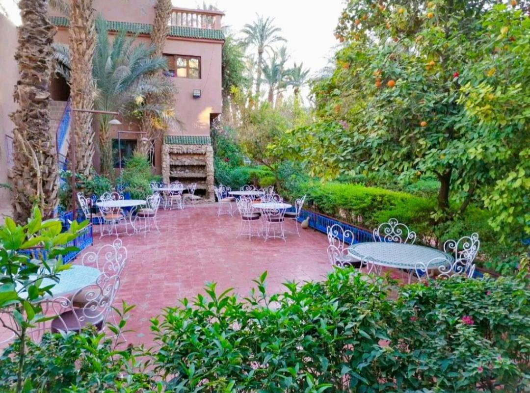 Chez Ali Hotel Zagora Buitenkant foto