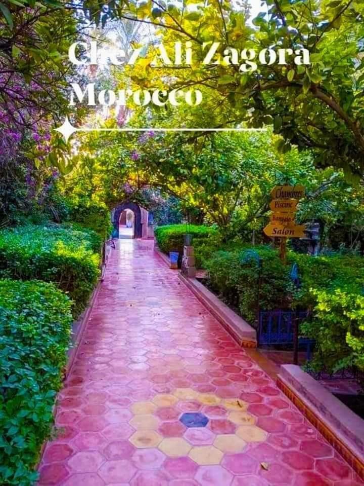 Chez Ali Hotel Zagora Buitenkant foto