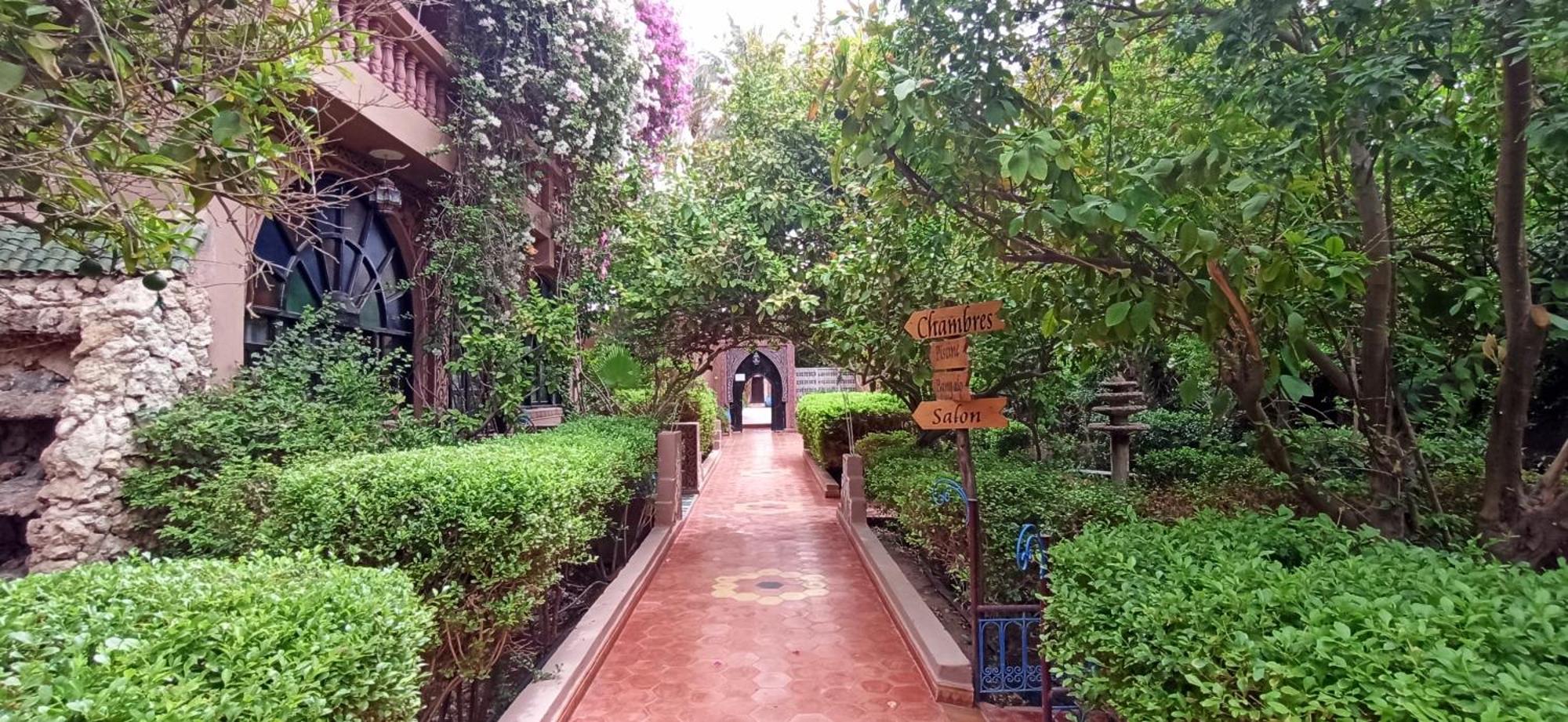 Chez Ali Hotel Zagora Buitenkant foto